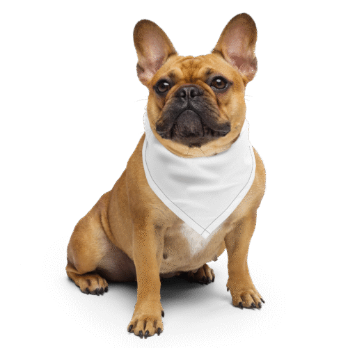 WSB - GOLD FÜR ALLE BANDANA – Bild 6
