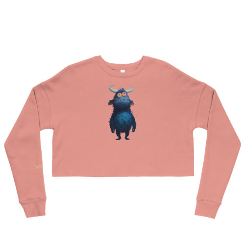 WSB BELLY DANCE CROP SWEATER
