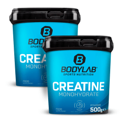 2 x Creatine Powder (500g)