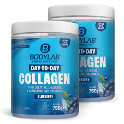 2 x Day to Day Collagen (2 x 750g)