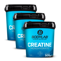 3 x Creatine Powder (500g)