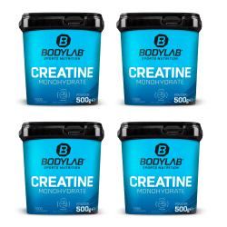 4 x Creatine Powder (500g)
