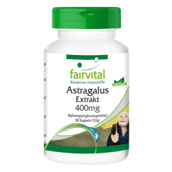 Astragalus Extrakt (90 Kapseln)