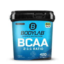 BIG PACK BCAA (420 Kapseln)