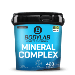 BIG PACK Mineral Complex (420 Kapseln)