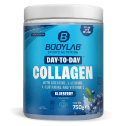 Day to Day Collagen - 750g - Blueberry