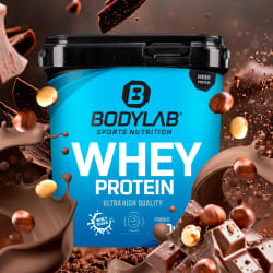 Whey Protein - 1000g - Haselnuss-Kakao