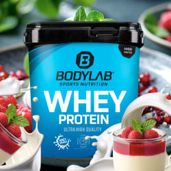 Whey Protein - 1000g - Pannacotta