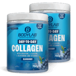 2 x Day to Day Collagen (2 x 750g)