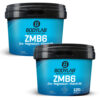 2 x ZMB6 - Zinc - Magnesium - Vitamin B6 (je 120 Kapseln)