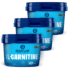 3 x Bodylab24 Acetyl L-Carnitine (je 120 Tabletten)