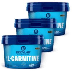 3 x Bodylab24 Acetyl L-Carnitine (je 120 Tabletten)