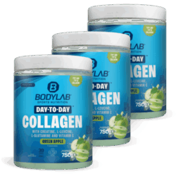 3 x Day to Day Collagen (3 x 750g)