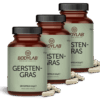3 x Gerstengras in Kapselform (3 x 180 Kapseln)