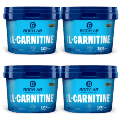 4 x Bodylab24 Acetyl L-Carnitine (je 120 Tabletten)