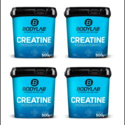 4 x Creatine Powder (500g)