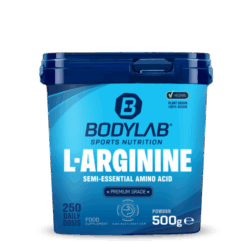 Arginine Powder (500g)