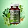 Ashwagandha Kapseln bio (150 Kapseln)