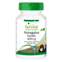Astragalus Extrakt (90 Kapseln)