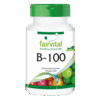 B-100 (90 Kapseln)