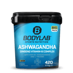 BIG PACK Ashwagandha Ginseng Vitamin-B Complex (420 Kapseln)