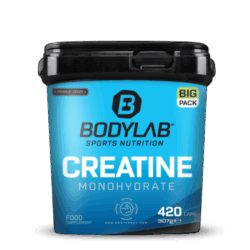 BIG PACK Creatine Monohydrate (420 Kapseln)