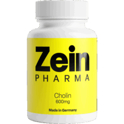 Cholin Kapseln 600mg (60 Kapseln)