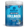 Day to Day Collagen - 750g - Blueberry