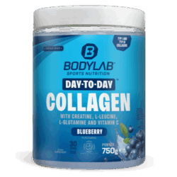 Day to Day Collagen - 750g - Blueberry