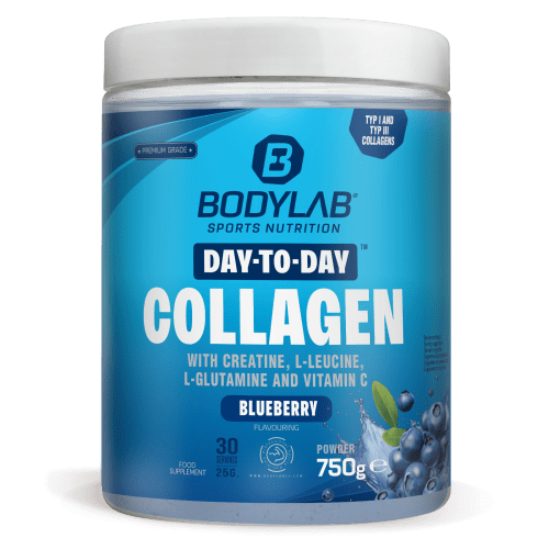 Day to Day Collagen - 750g - Blueberry