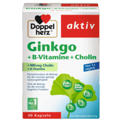 Ginkgo + Vitamin B + Cholin (40 Kapseln)