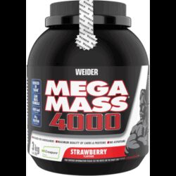 Mega Mass 4000 - 3000g - Erdbeere